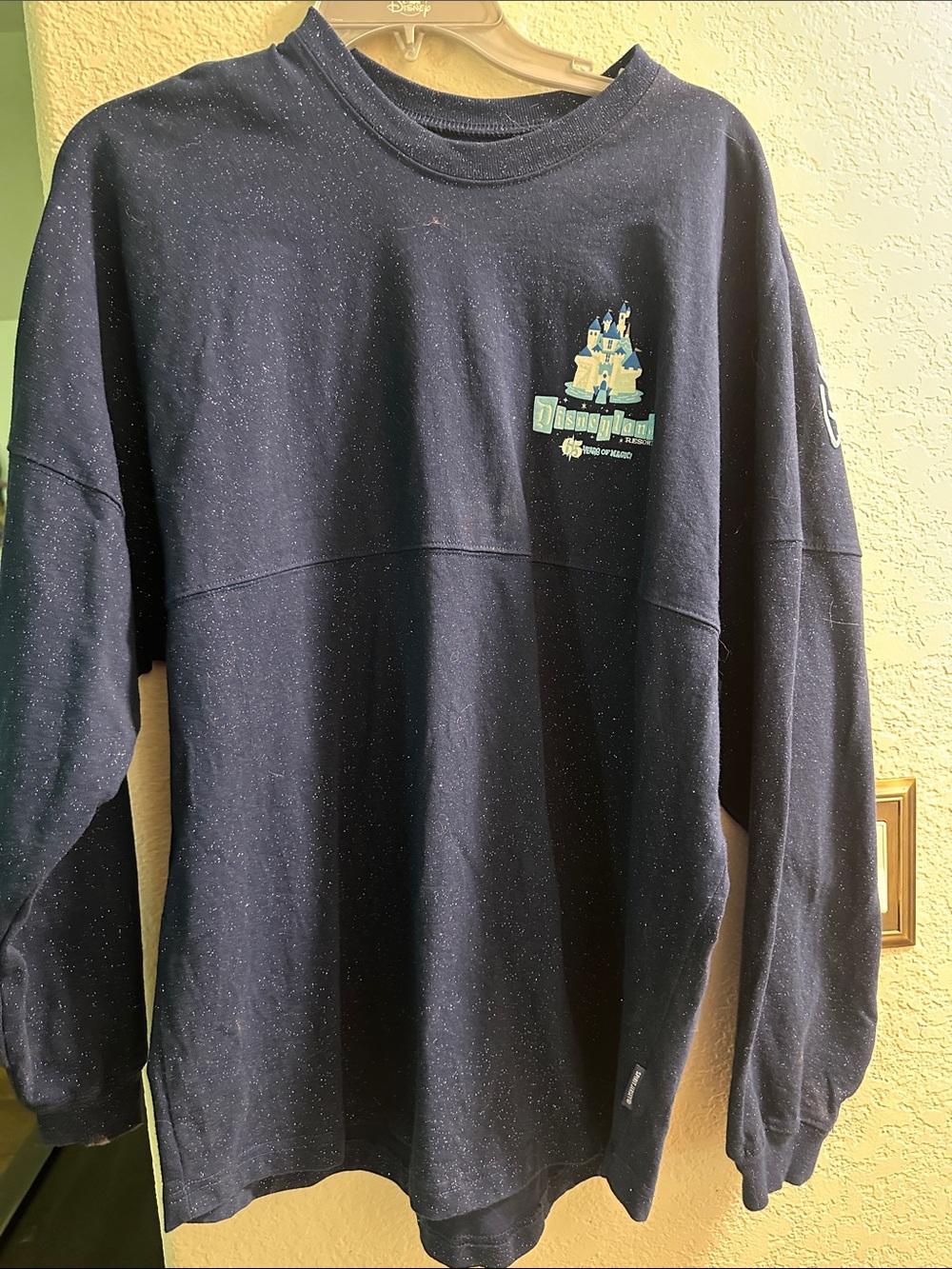 Disneyland Blue Spirit Jersey 65th Anniversary with Castle Graphic